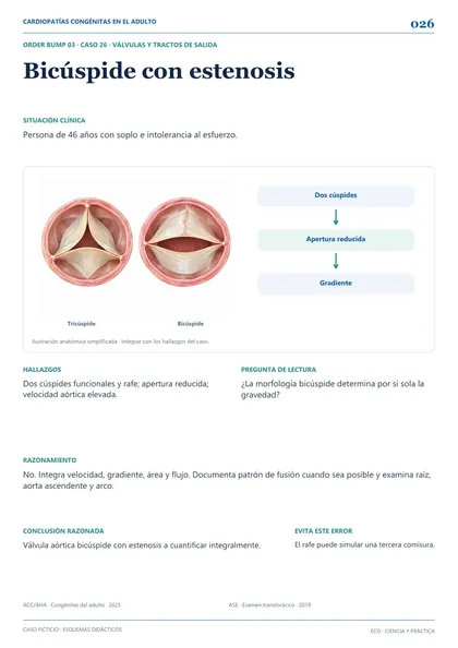 Muestra de cardiopatías congénitas del adulto